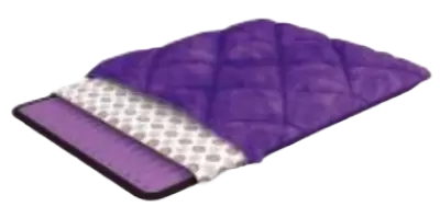 BioAmethyst Cushion